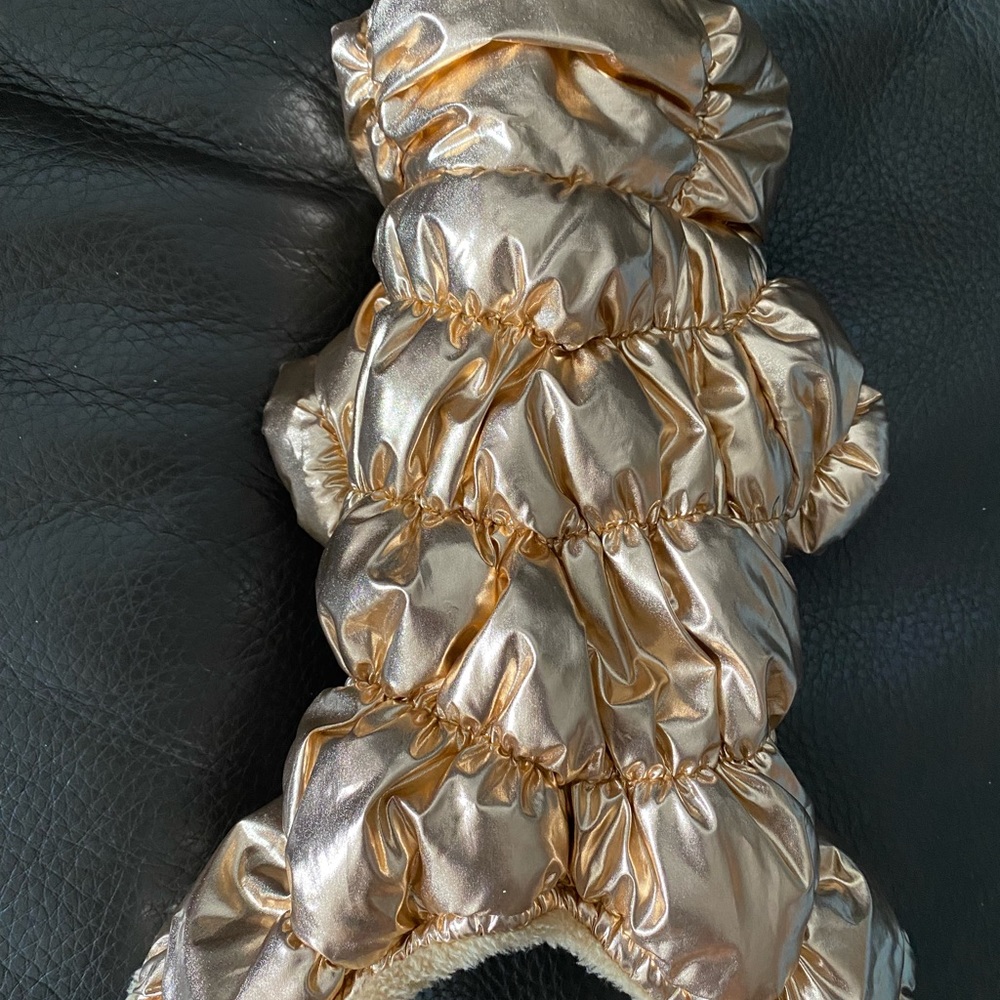 Dog’s Jacket! ✨ - Picture 3 of 3